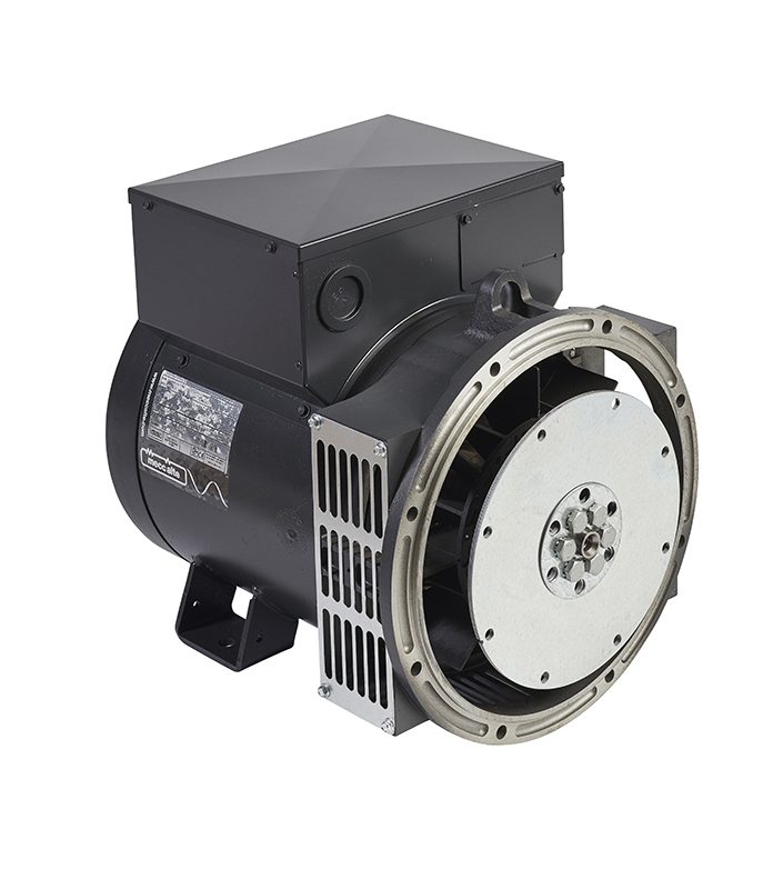 картинка Mecc Alte ECP28-2VS/4 (8,8 кВт)