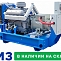 Дизельный генератор ТСС АД-60С-Т400-2РМ2 Marelli 029361